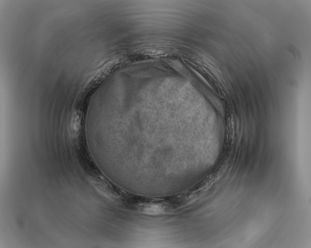 X0000112770412200909101555