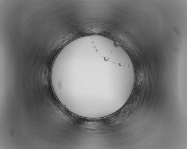 X0000112770414200909101555