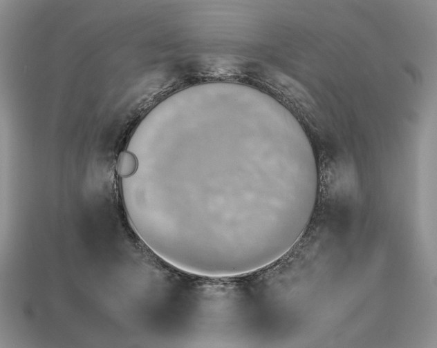 X0000112770415200909101555