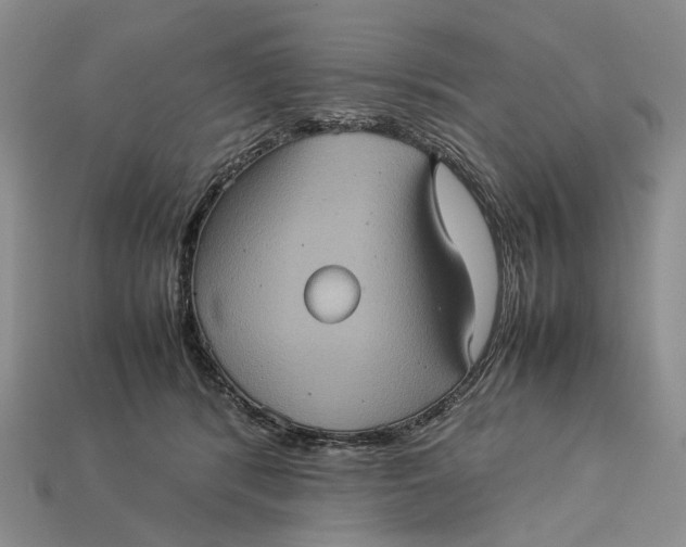 X0000112770416200909101555