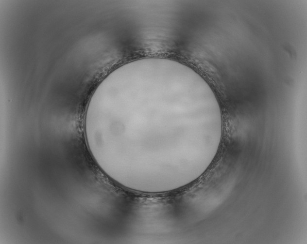 X0000112770419200909101555