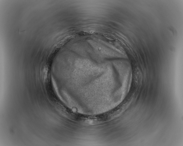 X0000112770420200909101555