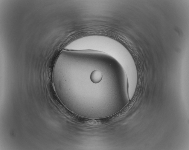 X0000112770421200909101555