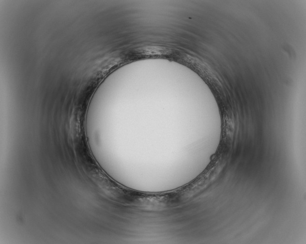 X0000112770422200909101555