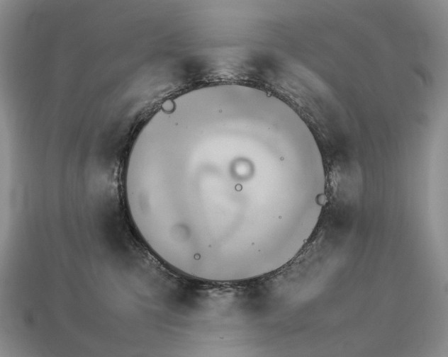 X0000112770423200909101555