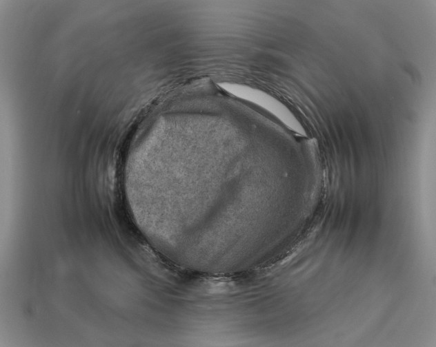 X0000112770424200909101555