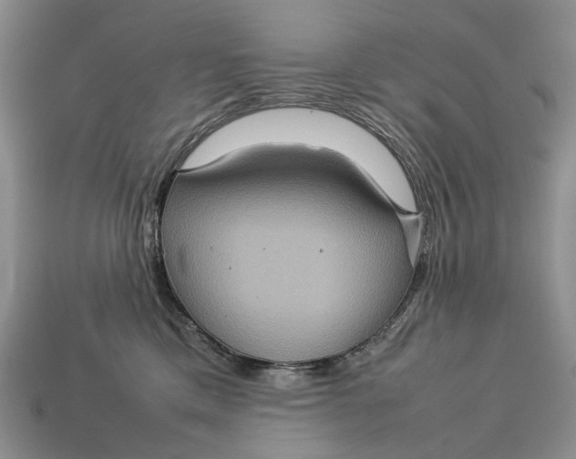 X0000112770425200909101555