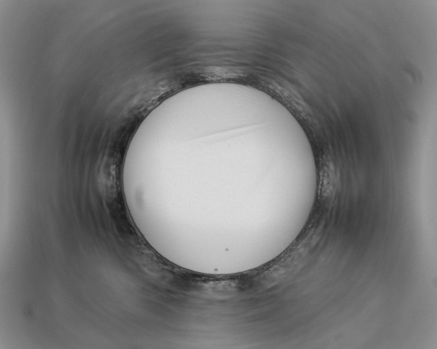 X0000112770426200909101555