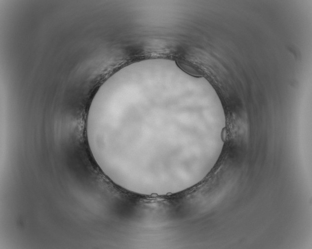 X0000112770427200909101555