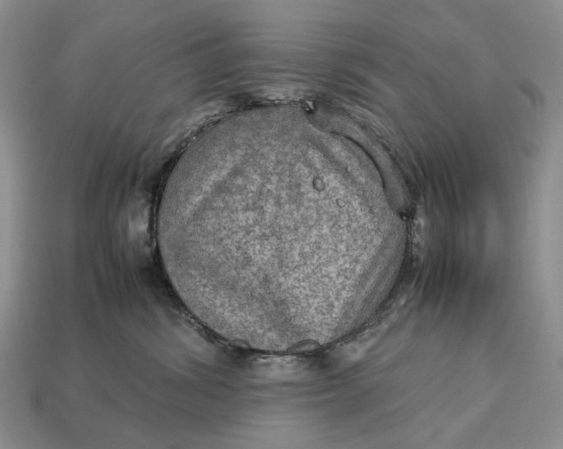 X0000112770428200909101555