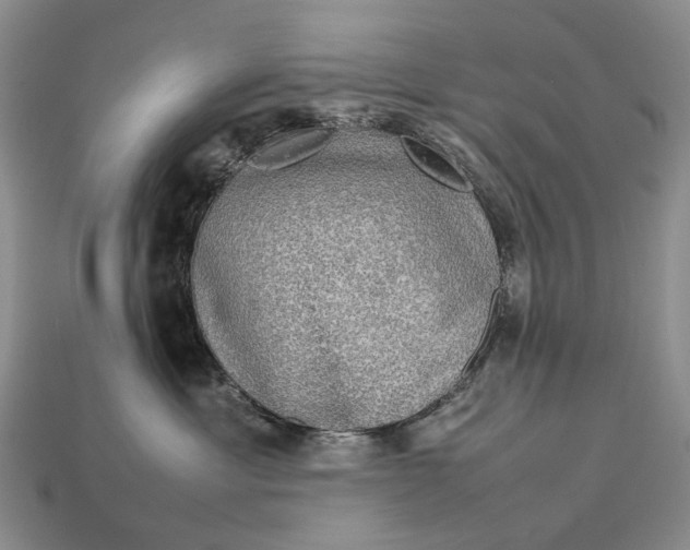 X0000112770429200909101555