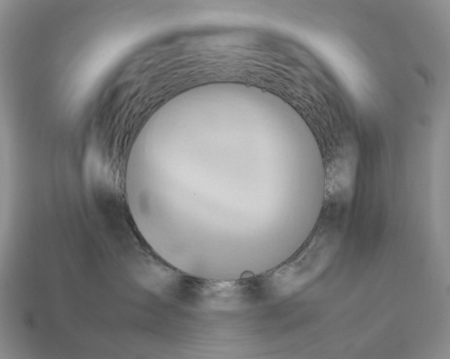 X0000112770431200909101555