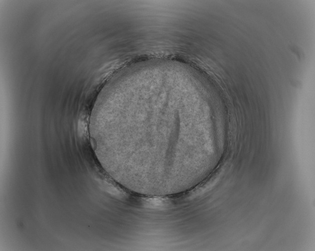 X0000112770432200909101555