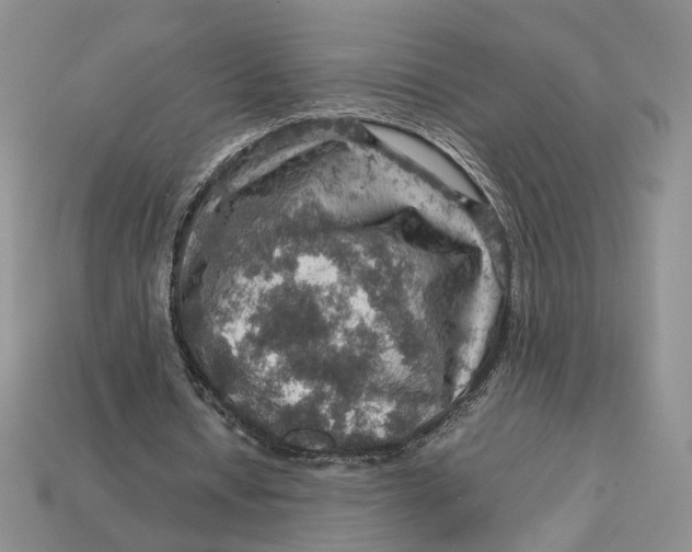 X0000112770434200909101554