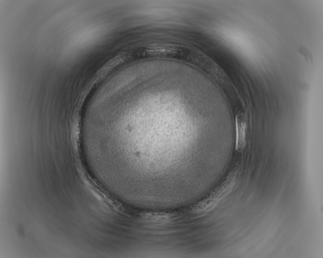 X0000112770435200909101554