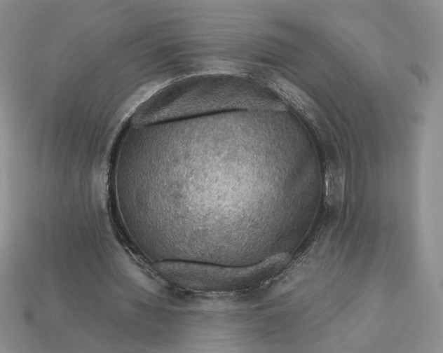 X0000112770436200909101554