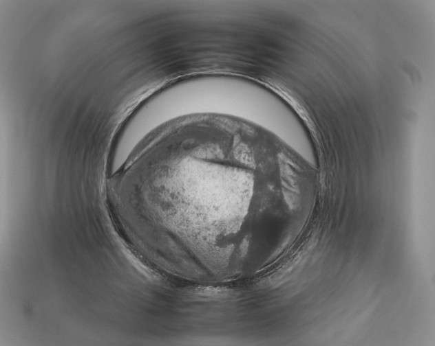 X0000112770437200909101554