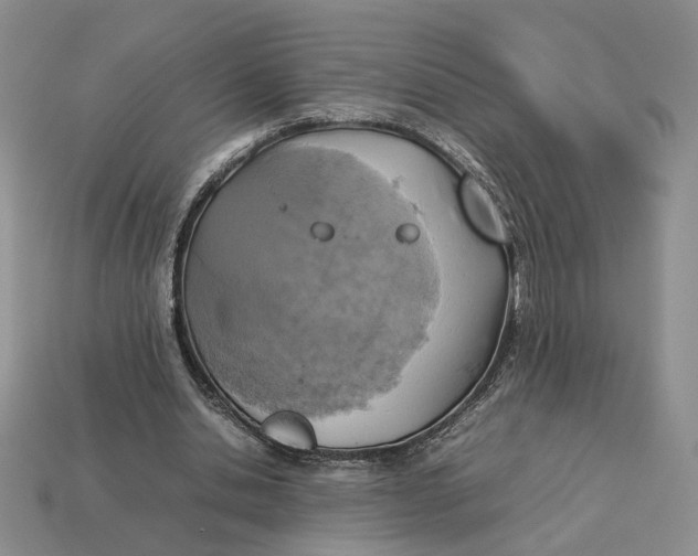 X0000112770438200909101554