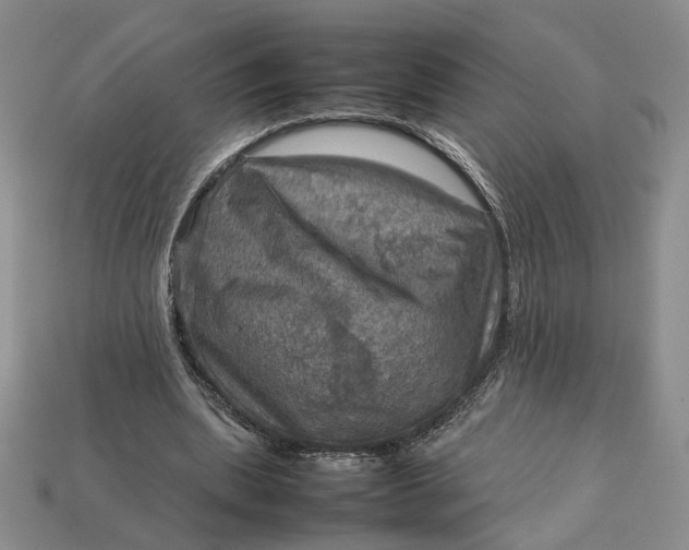 X0000112770439200909101554