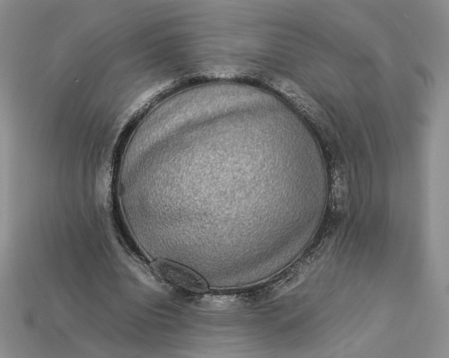 X0000112770440200909101554