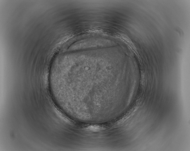 X0000112770441200909101554