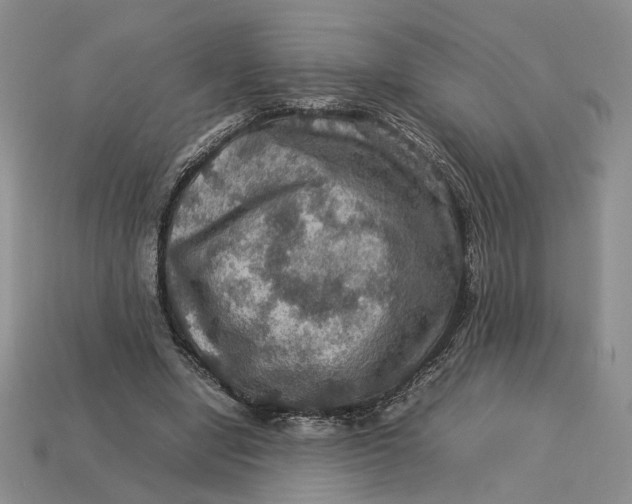 X0000112770442200909101554