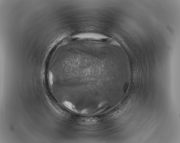 X0000112770443200909101554