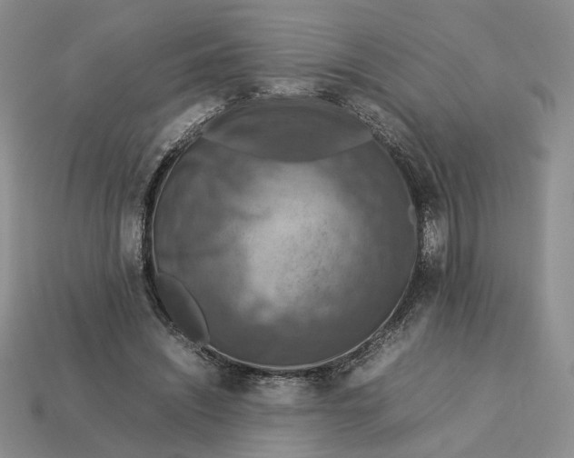 X0000112770444200909101554