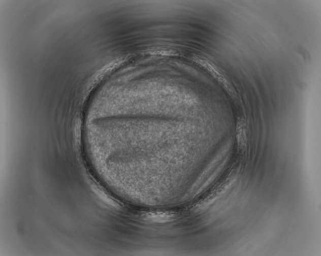 X0000112770445200909101554