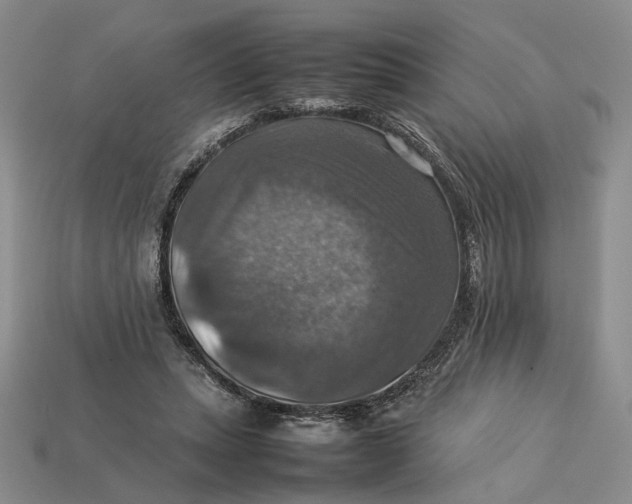 X0000112770447200909101554