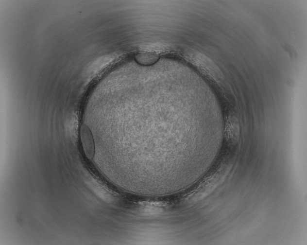 X0000112770448200909101554