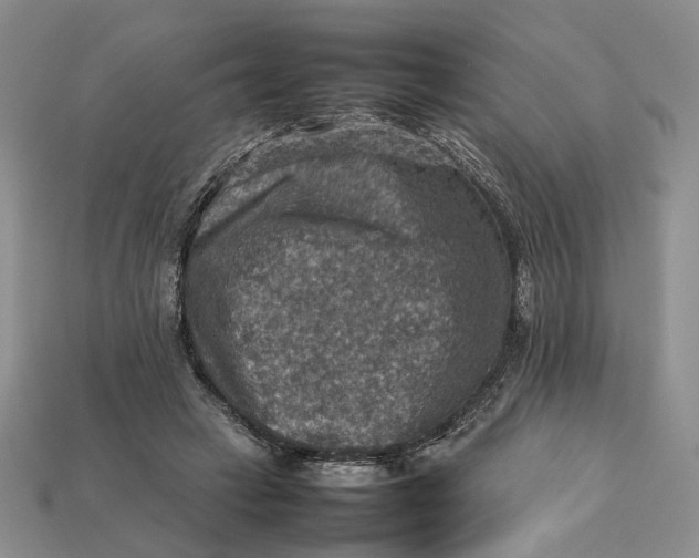 X0000112770449200909101554