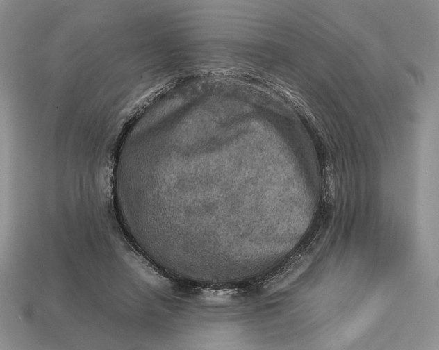 X0000112770450200909101554