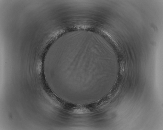 X0000112770451200909101554