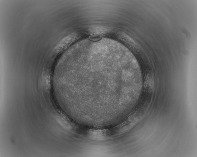 X0000112770452200909101554