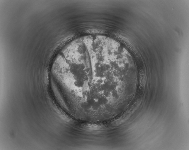 X0000112770453200909101554