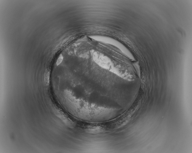 X0000112770454200909101555