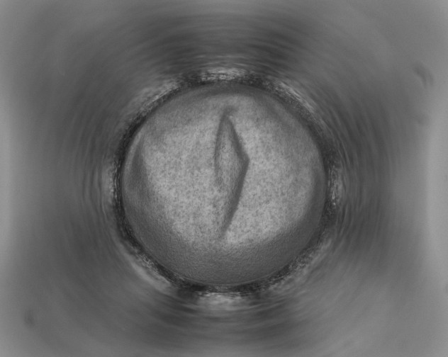 X0000112770455200909101555