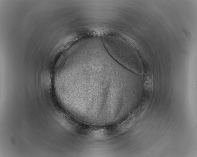 X0000112770456200909101555