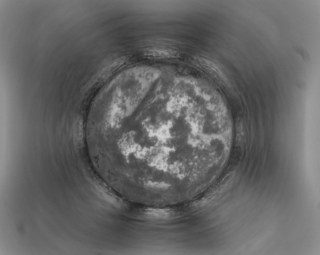 X0000112770457200909101555