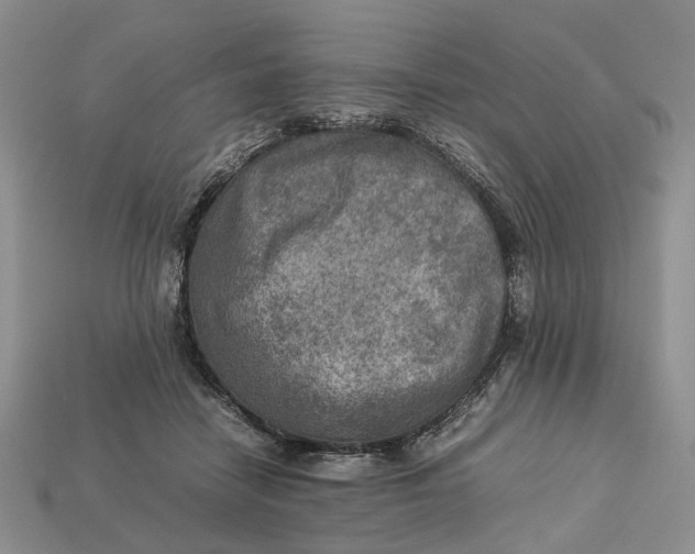 X0000112770458200909101555