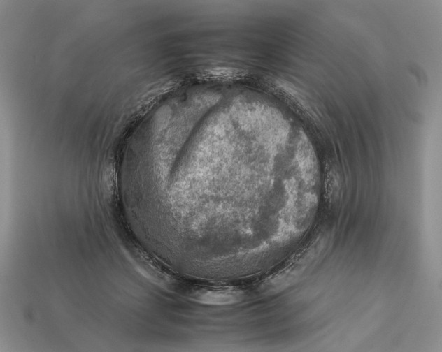 X0000112770459200909101555