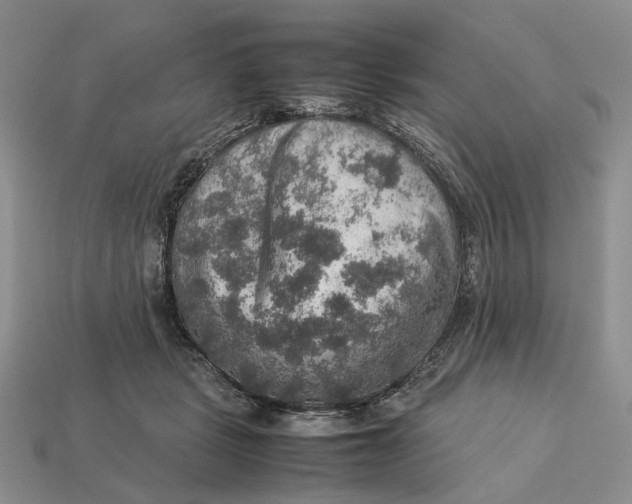 X0000112770461200909101555