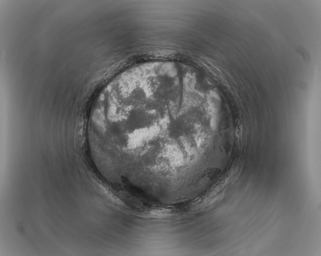 X0000112770462200909101555