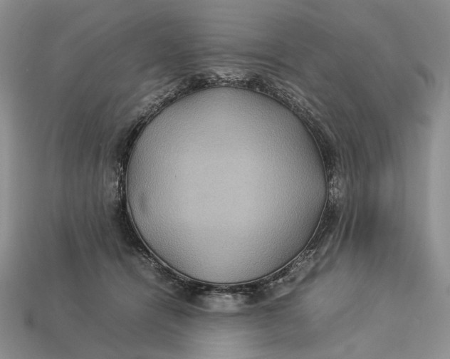 X0000112770464200909101555