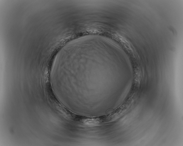 X0000112770465200909101555