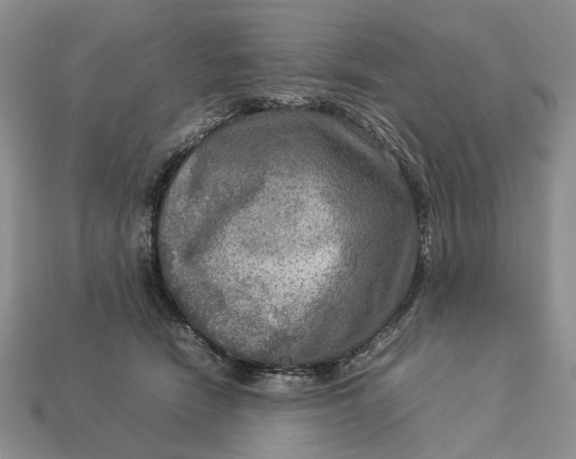 X0000112770466200909101555