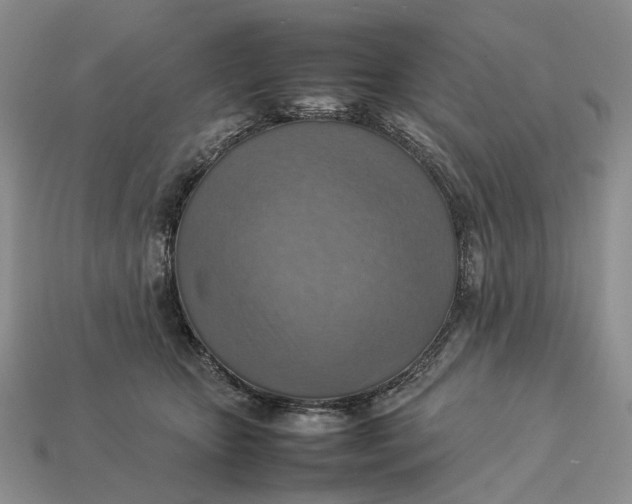 X0000112770467200909101555