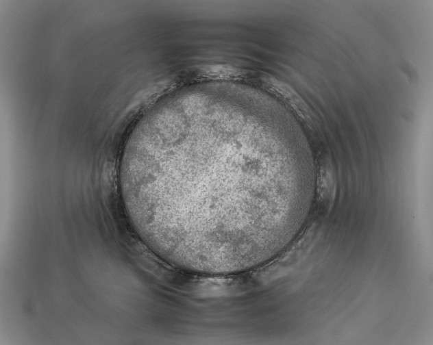 X0000112770473200909101555