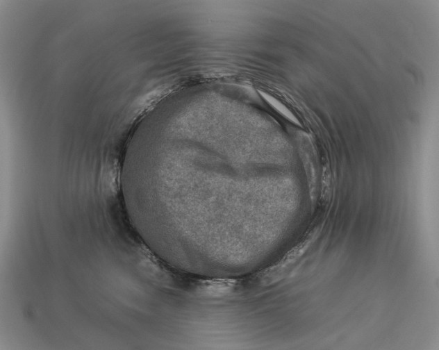 X0000112770474200909101555